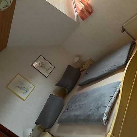 Birke 9, 10 Oder 11 Apartment Todtmoos Bagian luar foto