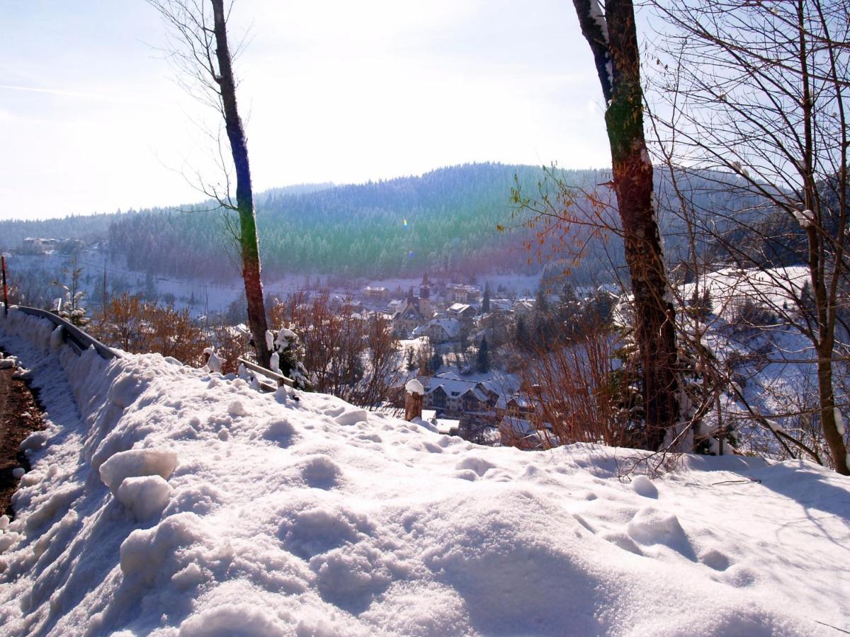 Birke 9, 10 Oder 11 Apartment Todtmoos Bagian luar foto