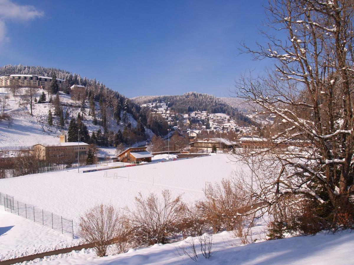 Birke 9, 10 Oder 11 Apartment Todtmoos Bagian luar foto