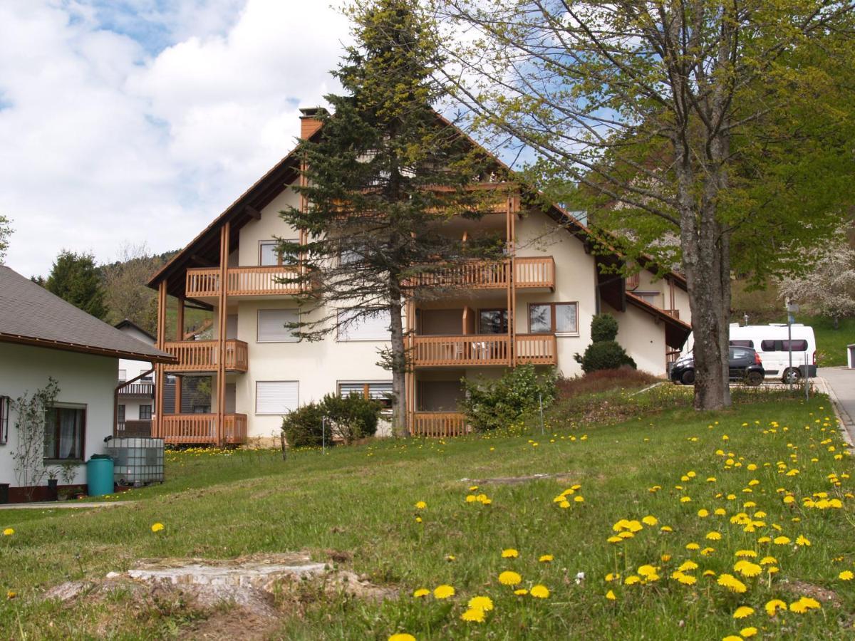 Birke 9, 10 Oder 11 Apartment Todtmoos Bagian luar foto