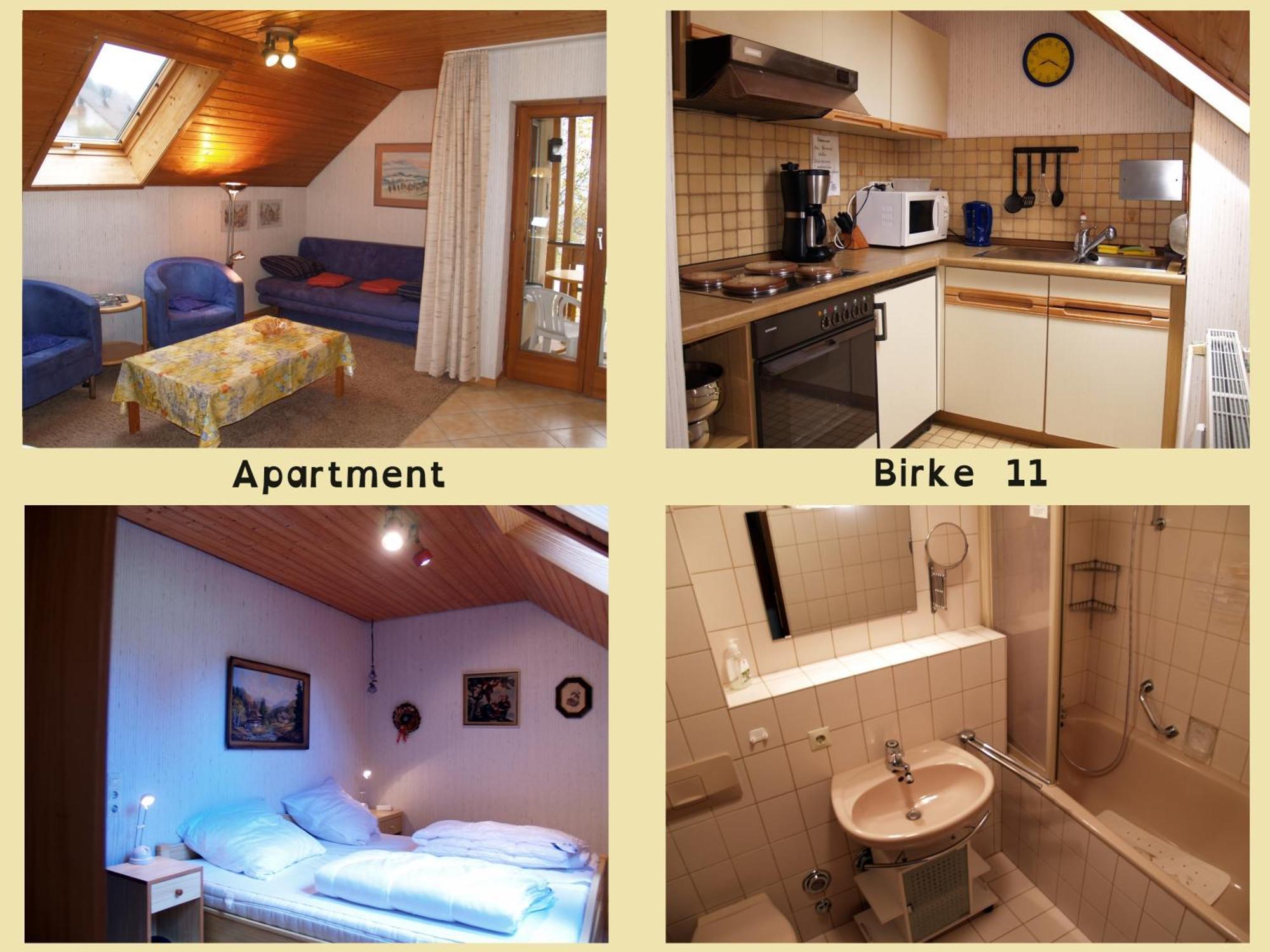 Birke 9, 10 Oder 11 Apartment Todtmoos Bagian luar foto