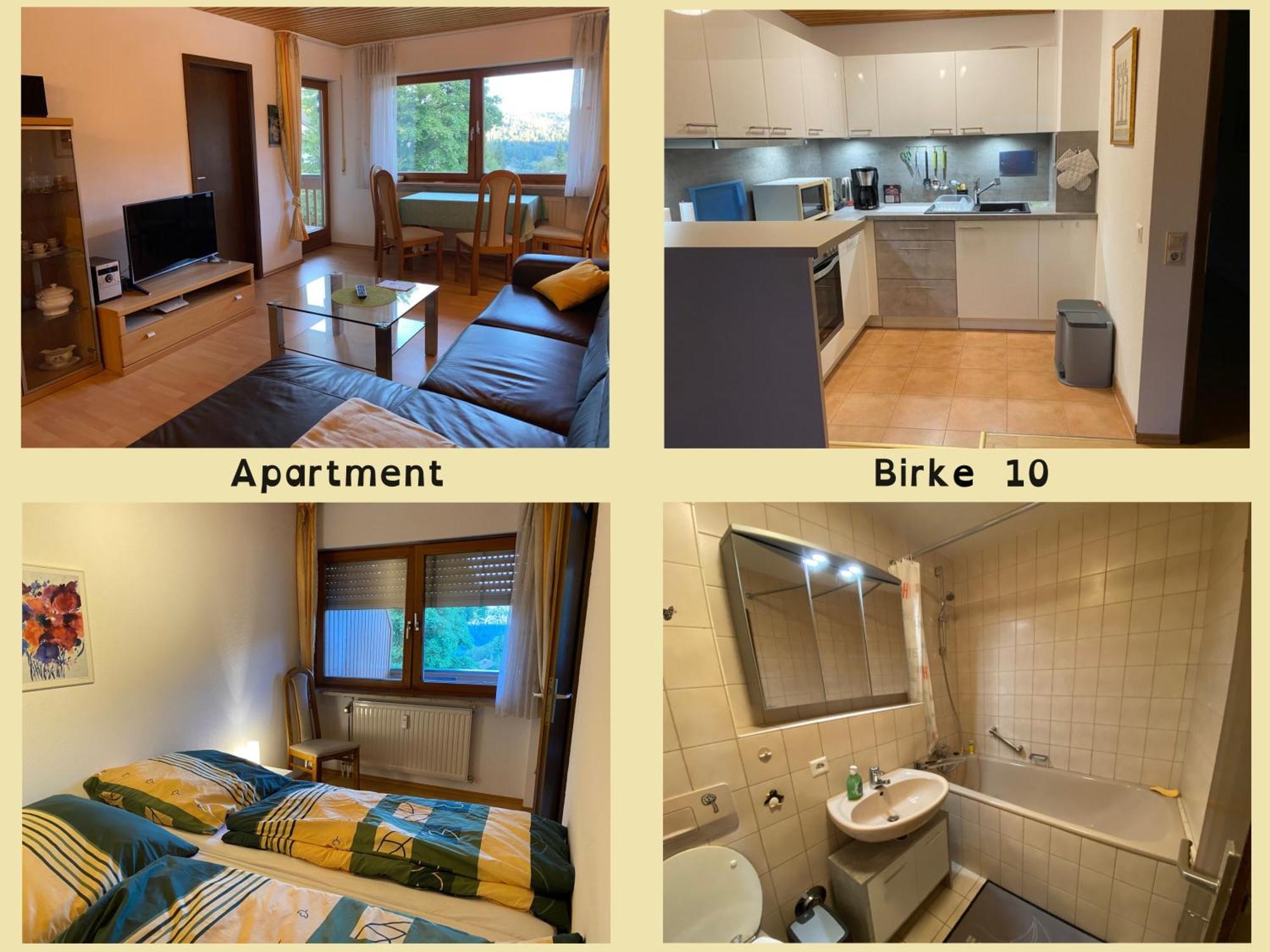 Birke 9, 10 Oder 11 Apartment Todtmoos Bagian luar foto