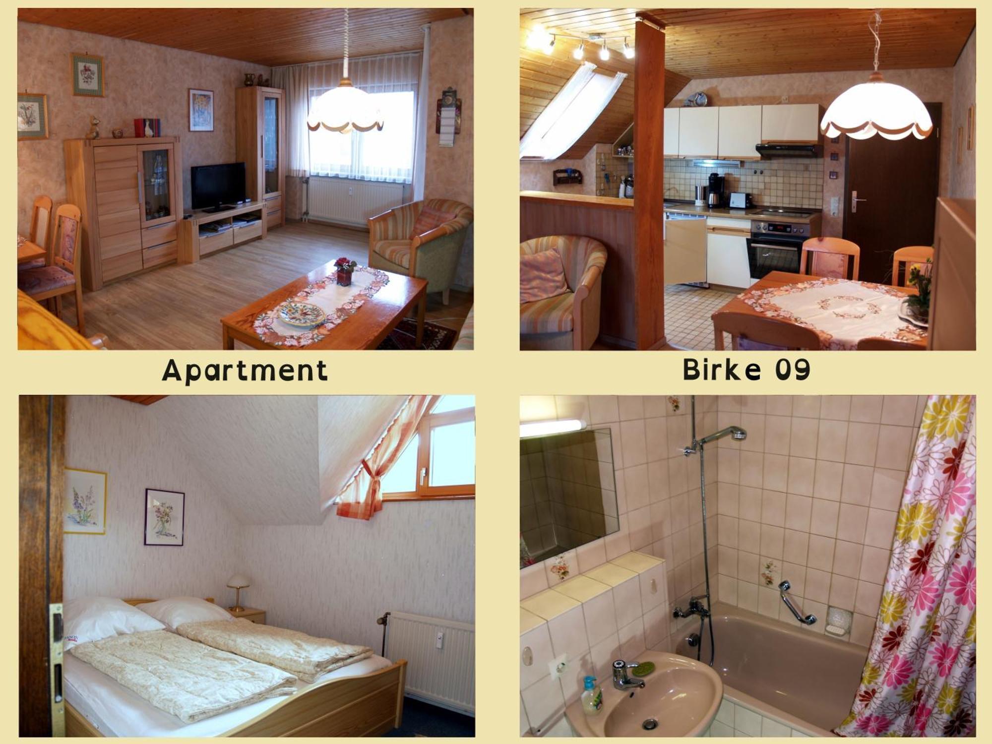 Birke 9, 10 Oder 11 Apartment Todtmoos Bagian luar foto